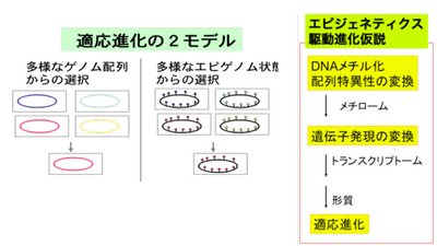 PLoS Genetics.jpg